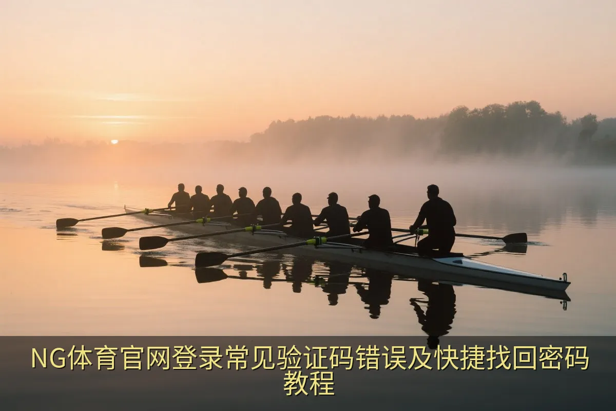 NG体育官网登录常见验证码错误及快捷找回密码教程